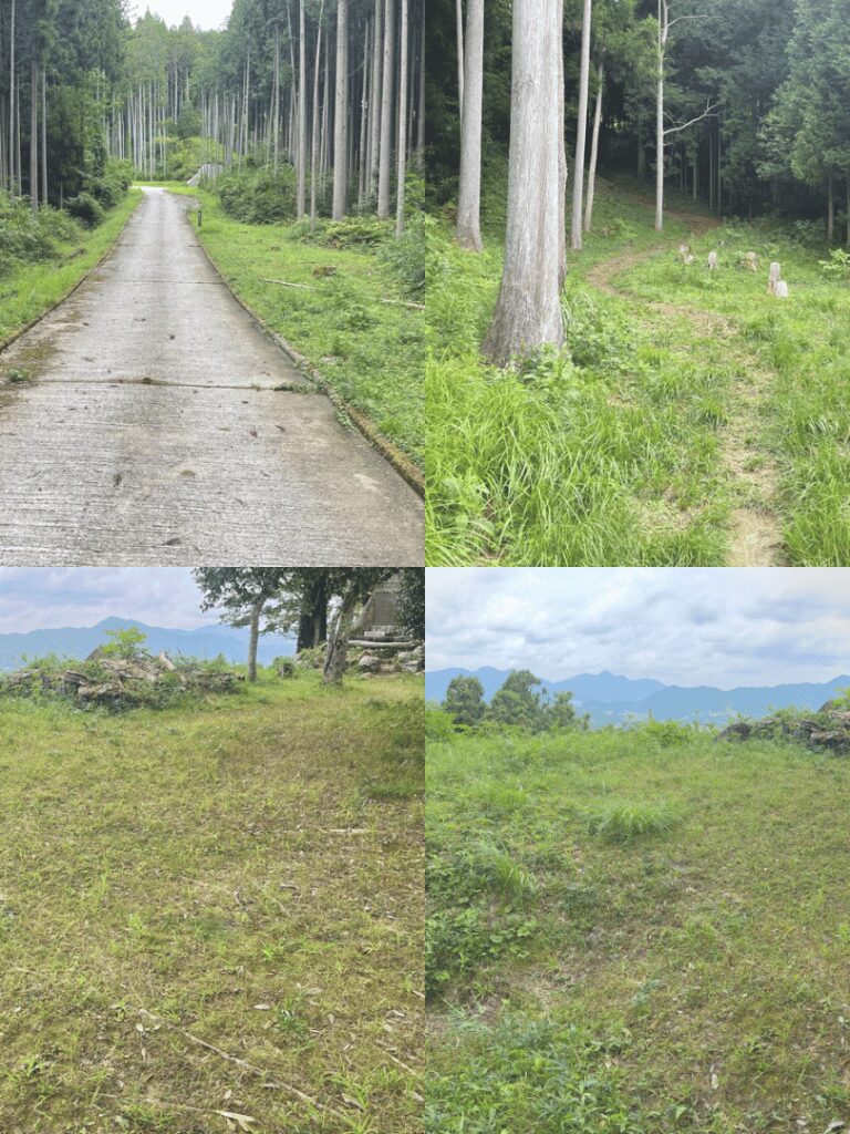 登城路